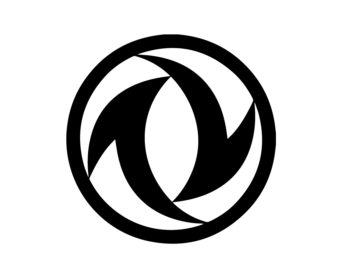 Dongfeng Rich 6 (DF6)